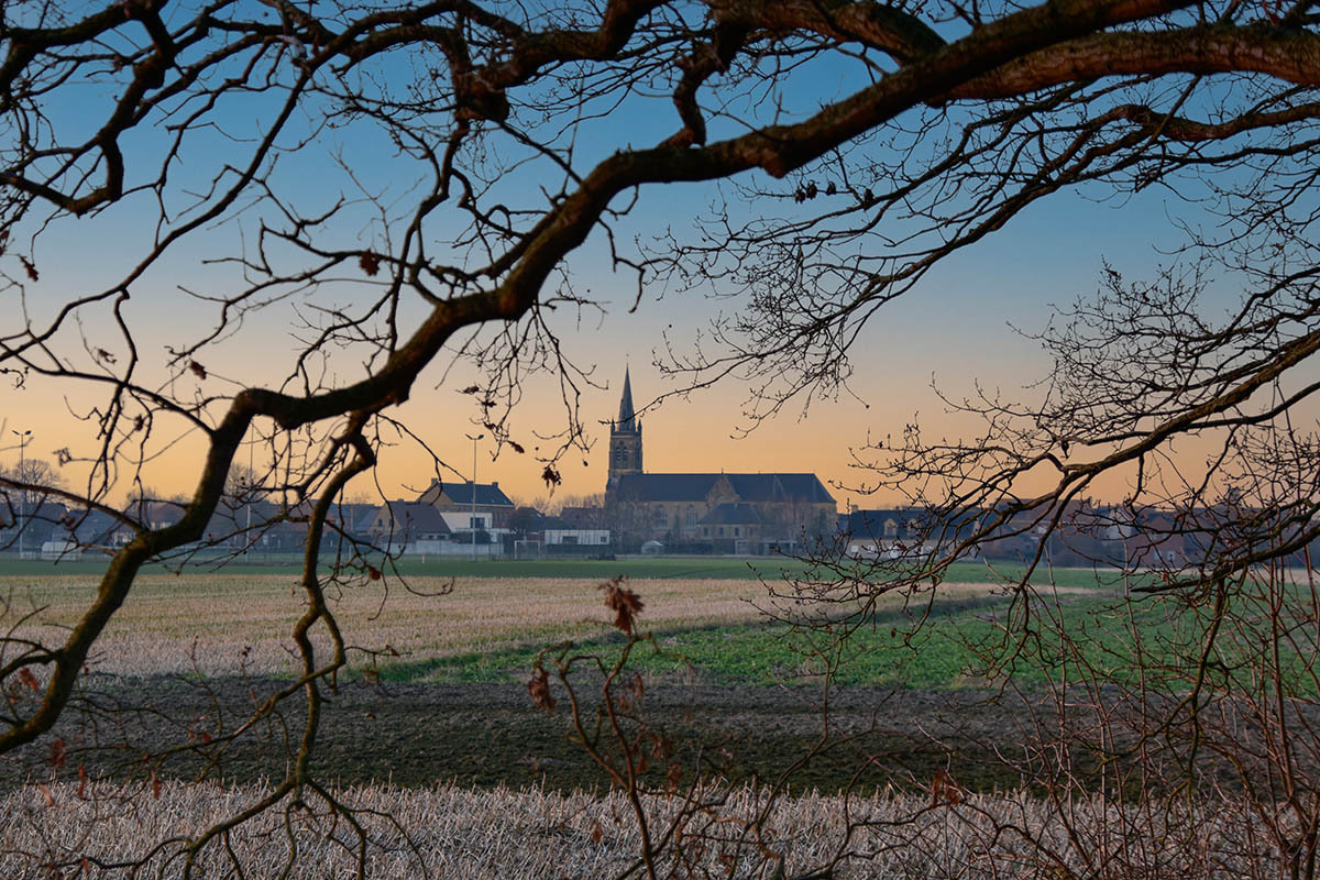 Zoektocht Dikkebus