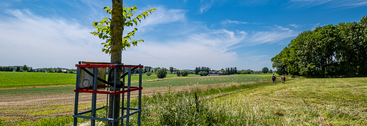 Zicht op Bellewaerde Ridge en Kraterbos