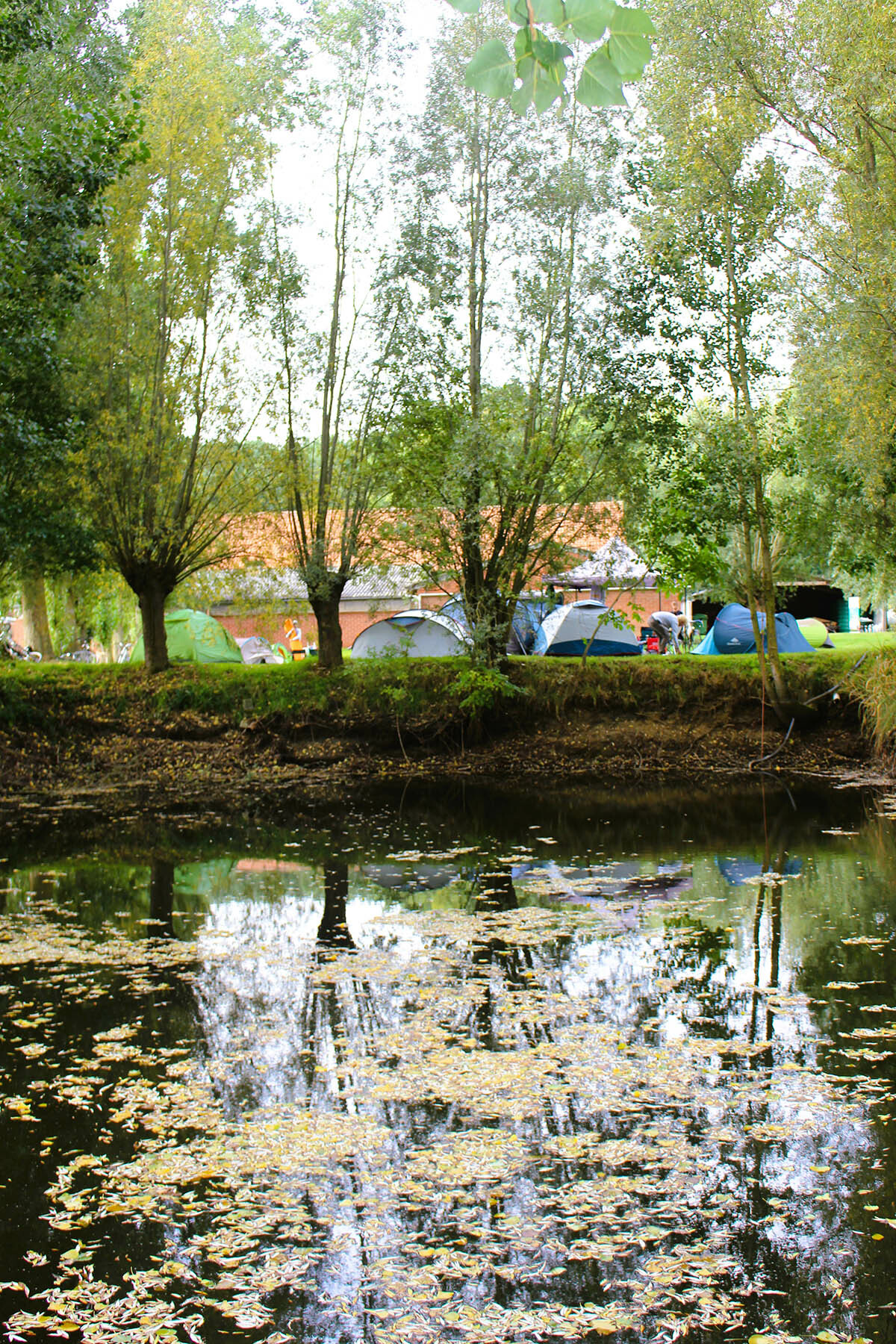 't Hof Bellewaerde