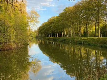 Zicht op de vestingen