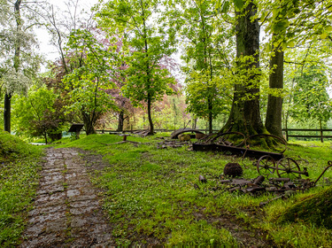 Front Line Hooge - Openluchtmuseum