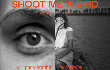 Shoot me a bird