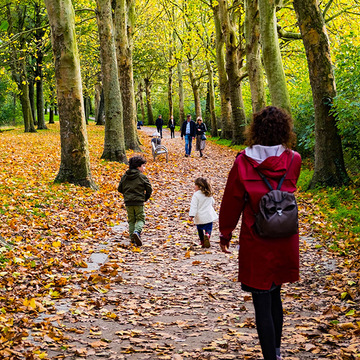 Wandelen